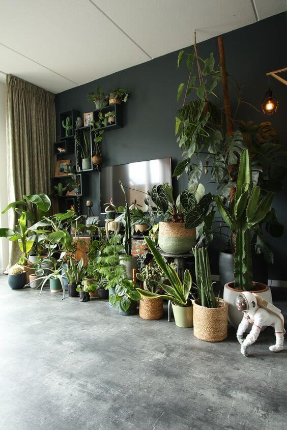 Adem nieuw leven in je interieur met kamerplanten