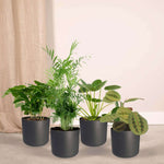 Diervriendelijke plantenbox - 4 stuks - Ø12cm - ↕20-40cm