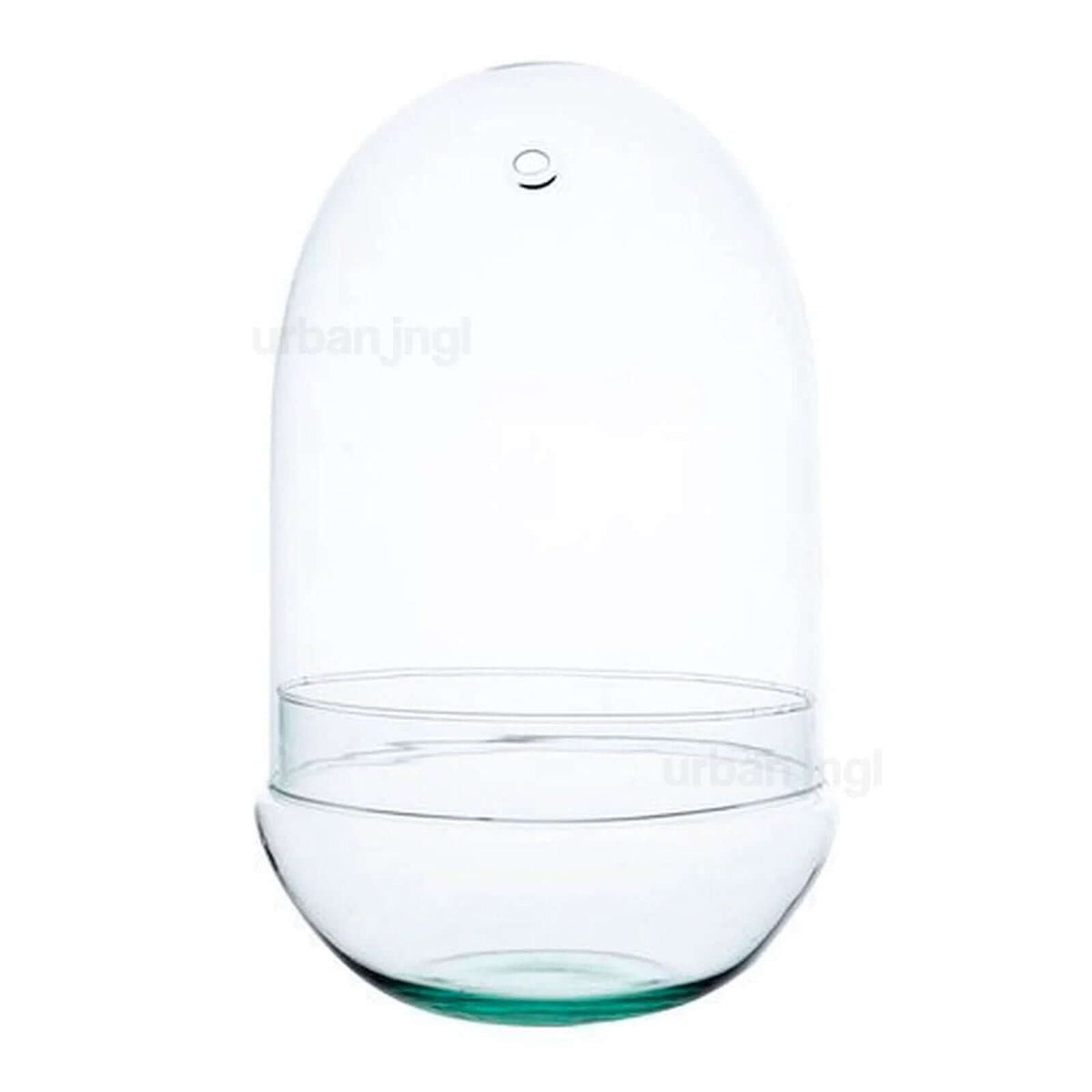 Egg XL Terrarium bottle - (Semi)Closed terrarium ↑ 30 cm - Model: Egg XL