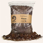 Ficus mix 5L