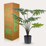 Kunstplant - Philodendron - 70 cm