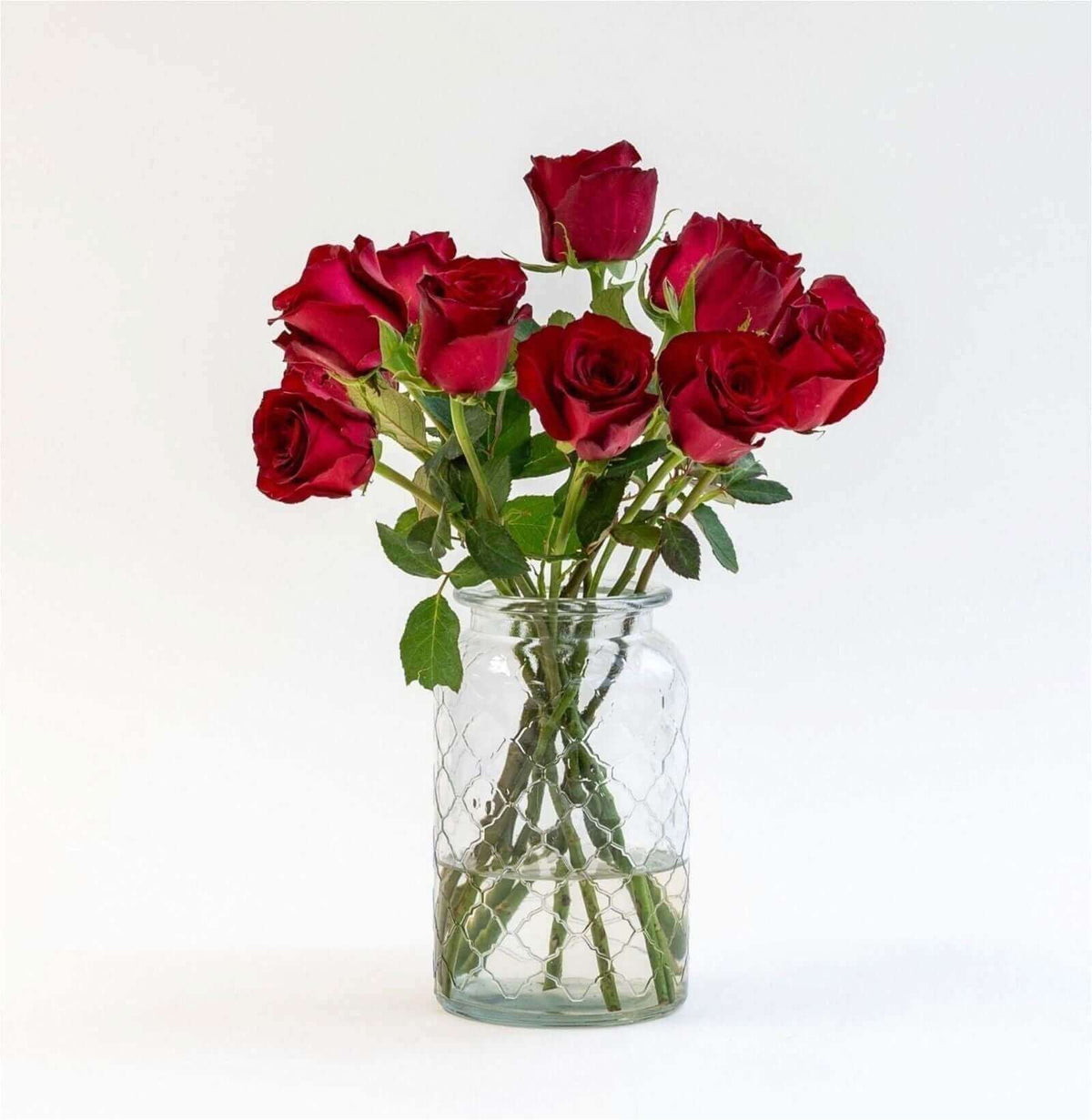 Letterbox Roses Bordeaux | 35cm length