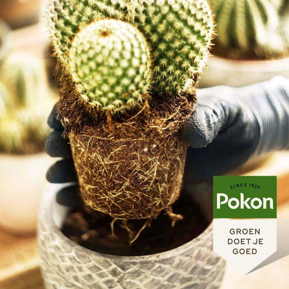 Pokon cactus & vetplant - 5L - Potgrond