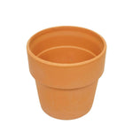 Teracotta pot - 12