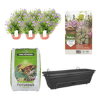 Balkonbak Zwart DIY-set - Campanula