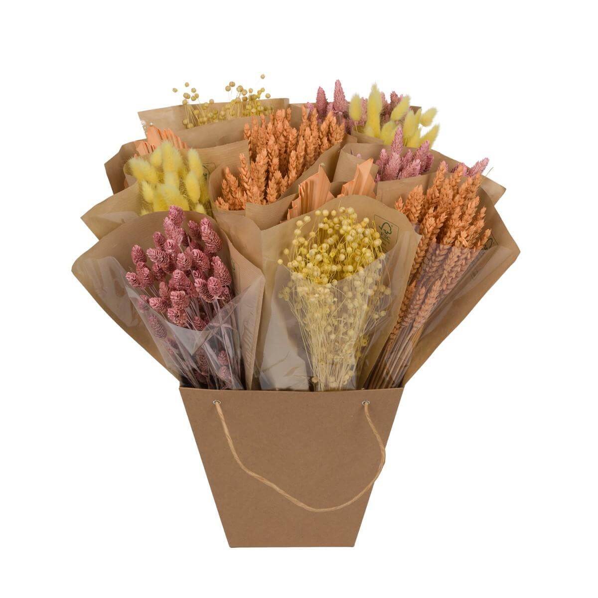 Droogbloemen - Dried Mono Mix - Blossom - ↕50cm