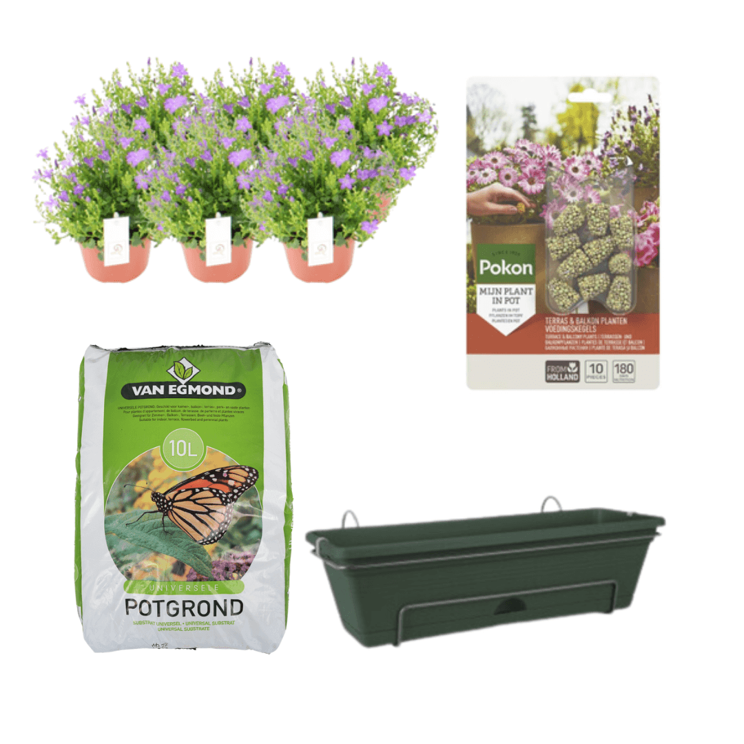 Balkonbak Groen DIY-set - Campanula