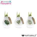 No Water Flowers Naturalz Botanical Mix - 3 pieces - Ø7 cm - ↕15 cm