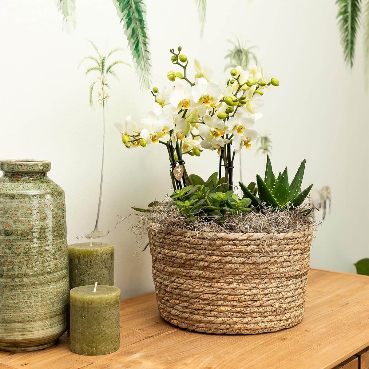 Rieten mand met drie witte orchideeën Amabilis en drie Rhipsalis plantjes op houten tafel, naast groene kaarsen en vaas