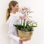 Vrouw met roze Kolibri Orchids en groene planten in rieten mand met waterreservoir