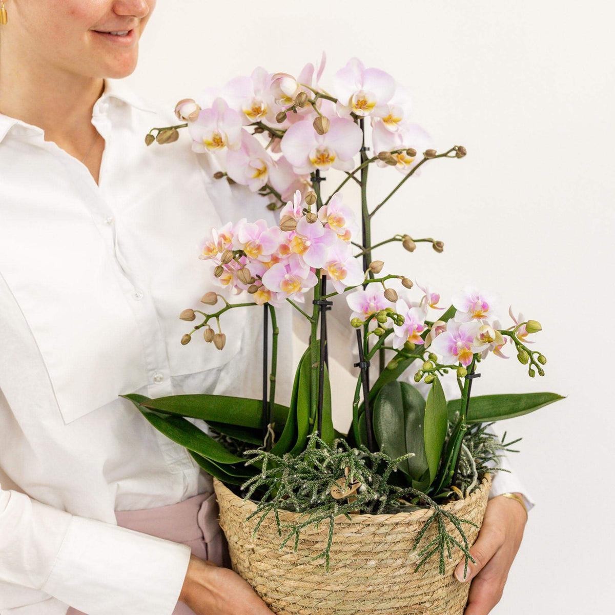 Vrouw houdt een rieten mand met drie roze Kolibri Orchids en groene planten vast