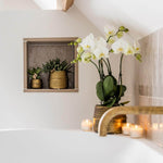 Witte Phalaenopsis orchidee in goudkleurige Groove sierpot naast kaarsen bij bad, luxe interieurdecoratie