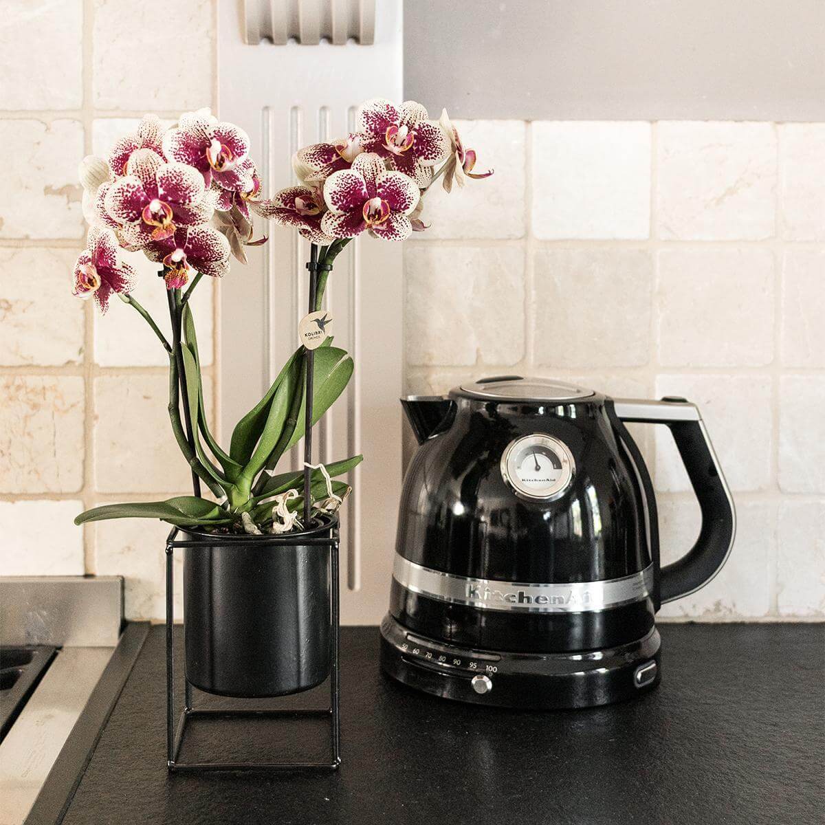 Paarse orchideeën in een zwarte pot naast een zwarte waterkoker op een keukenblad.