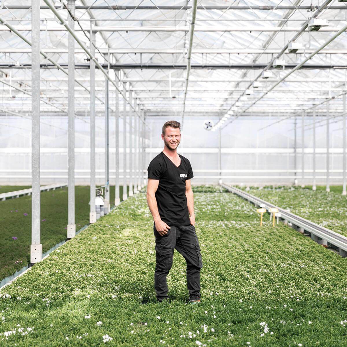 Man standing in a greenhouse with a large field of green plants.