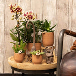 Decoratieve tafel met Kolibri Orchids Geel Rode Phalaenopsis en cognac sierpotten op statief