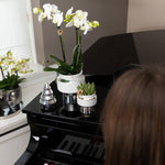 Elegant witte phalaenopsis orchidee in zilveren sierpot op piano in woonkamer. Bloeiende kamerplant voor een luxe interieur.