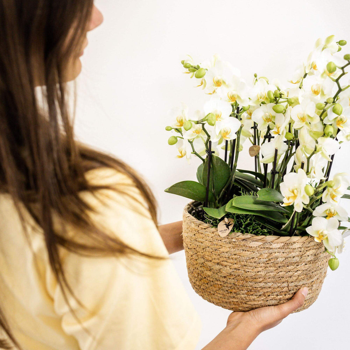 Vrouw houdt een witte plantenset met drie Kolibri Orchids en drie groene planten in een katoenen mand met waterreservoir vast.