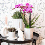 Paarse Phalaenopsis orchidee in witte pot op zwarte tafel met decoratieve planten en kaars.