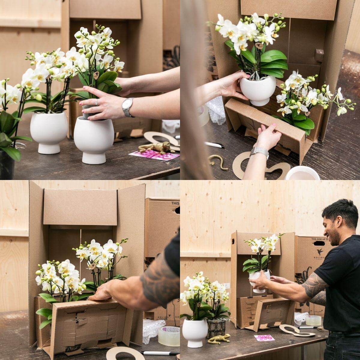 Man en vrouw verpakken witte orchideeën in kartonnen dozen, close-up van handen en bloemen in manden.