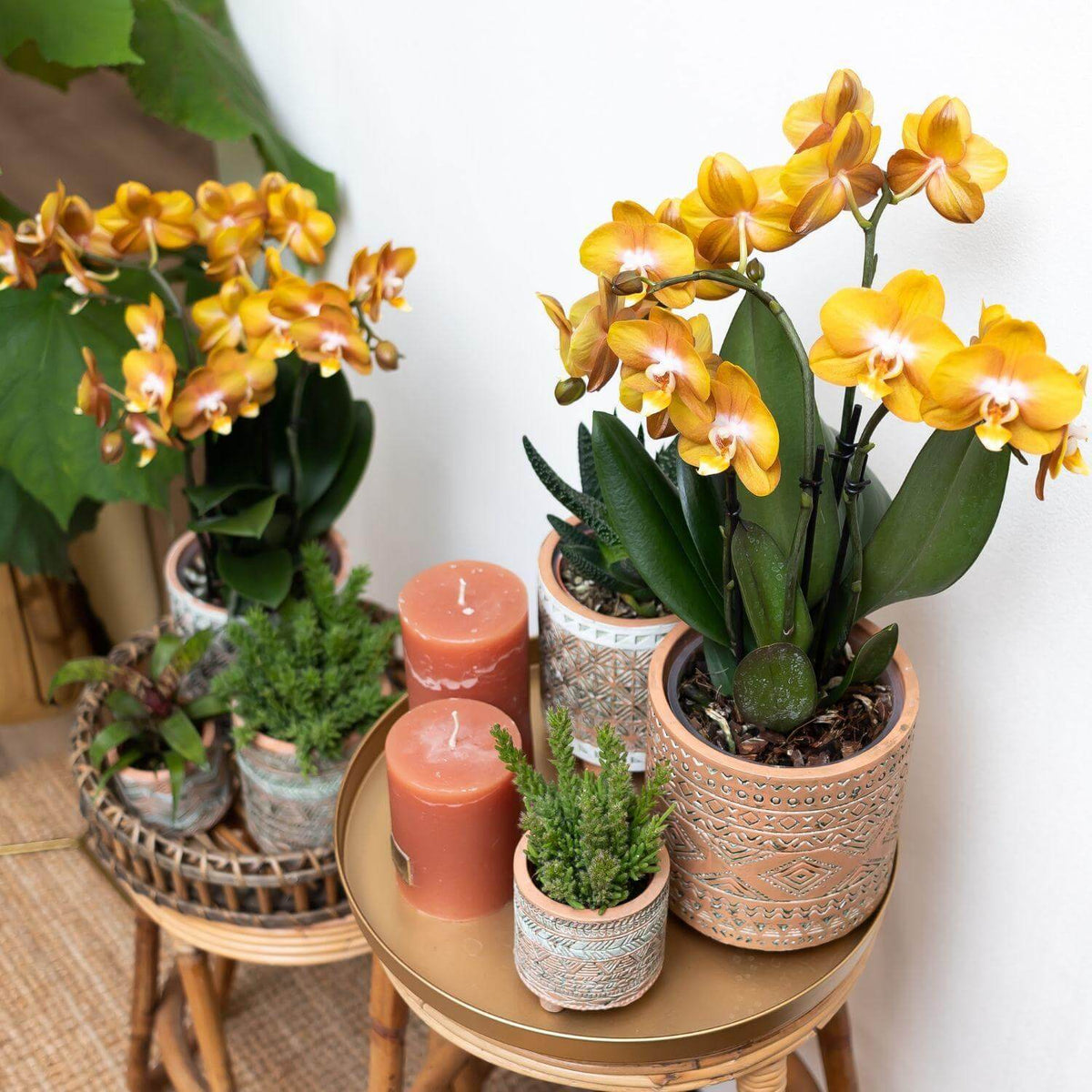 Oranje gouden Phalaenopsis orchidee in sierpot op tafel met kaarsen en groen decor voor een botanische sfeer in huis