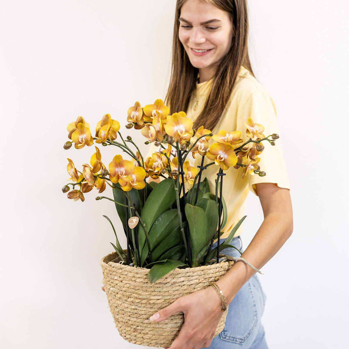 Vrouw draagt een katoenen mand met drie oranje Kolibri orchideeën met waterreservoir, perfect als Mono Bouquet.