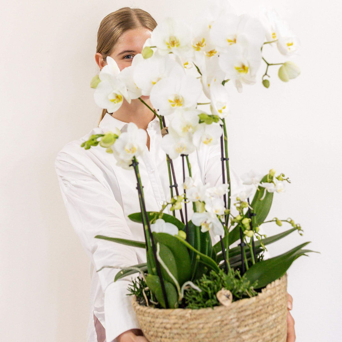 Vrouw houdt een mand met drie witte orchideeën en groene planten in een witte plantenset inclusief waterreservoir