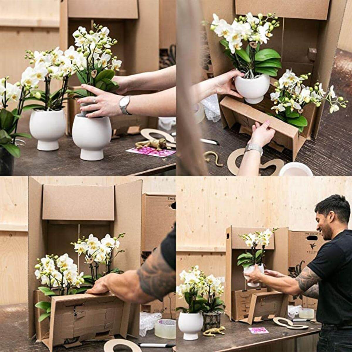 Persoon verpakt witte Phalaenopsis orchidee planten in witte keramieken potten op bamboe dienblad.