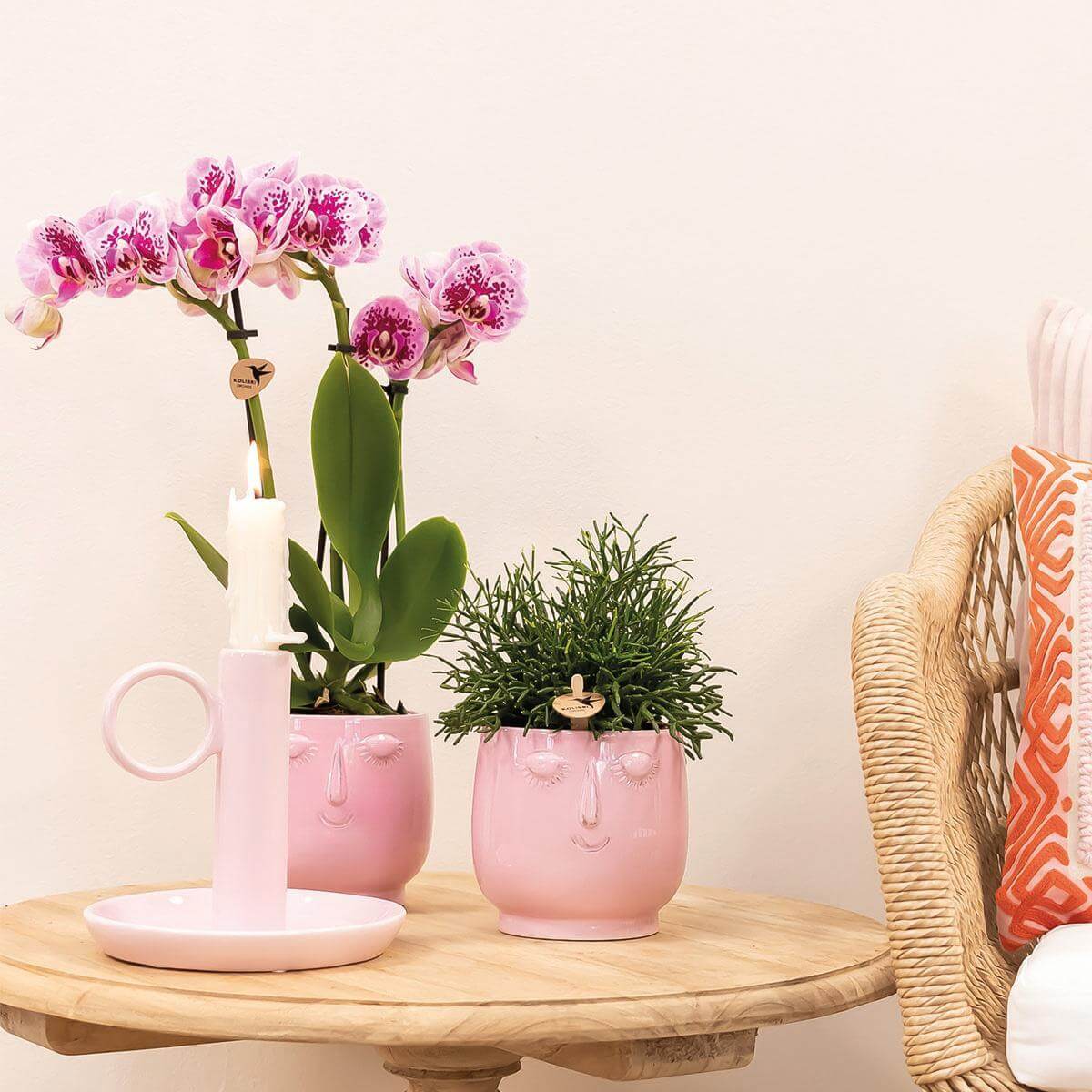 Paarse Phalaenopsis orchidee in roze Happy Face sierpot op houten tafel, bloeiende kamerplant uit de Diamond collectie met opvallende bloemen.