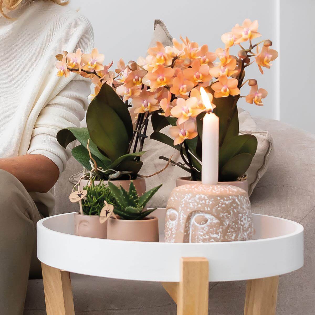 Kolibri Company geurende Phalaenopsis orchidee en Aloë Brevifolia in zandkleurige sierpotten op een witte tafel, sfeervol naast een brandende kaars.