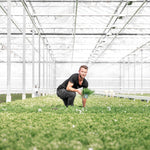 Man holding a plant pot while kneeling in a large greenhouse filled with greenery.