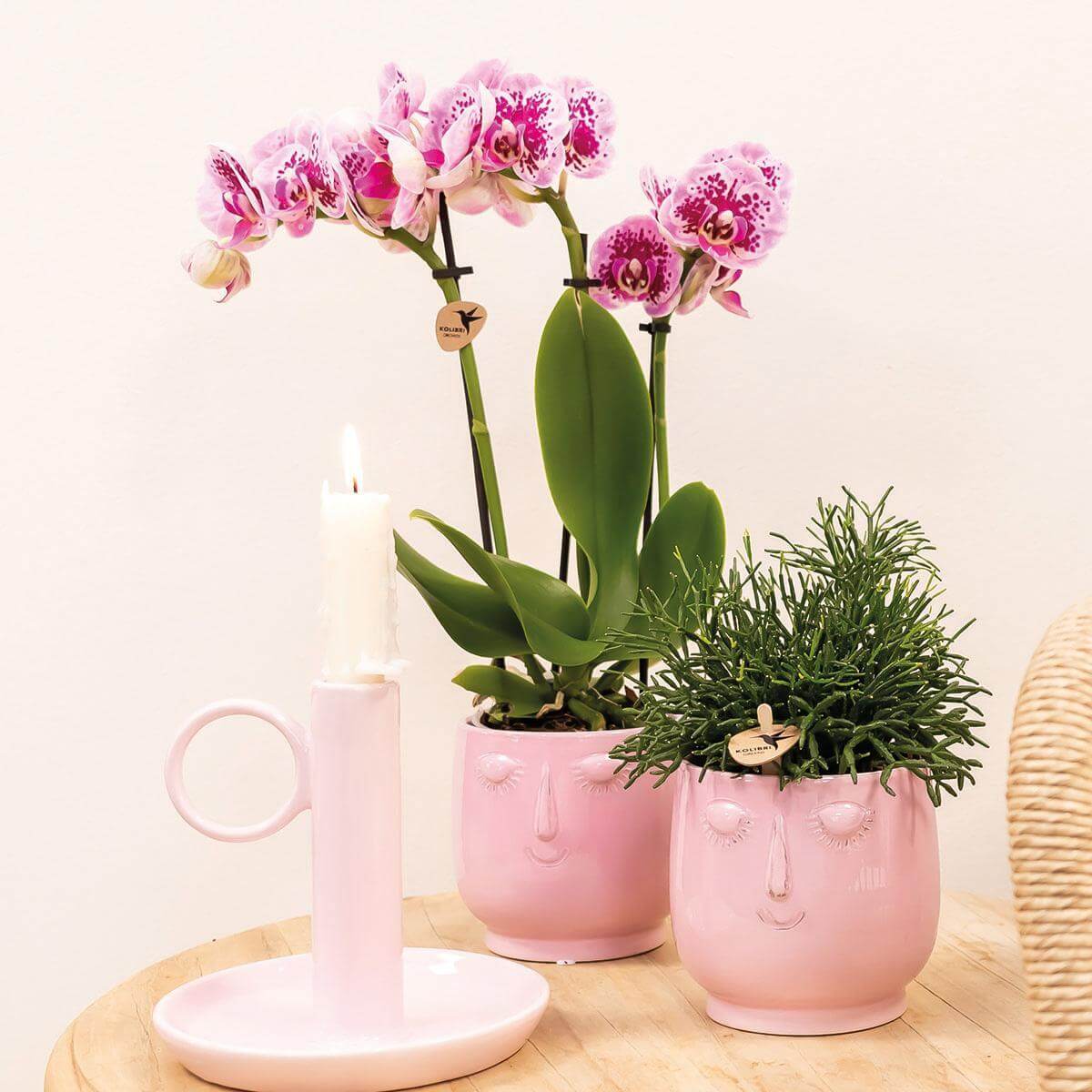 Phalaenopsis orchidee met roze paarse bloemen in roze Happy Face sierpot, met groene plant en kaarshouder op houten tafel