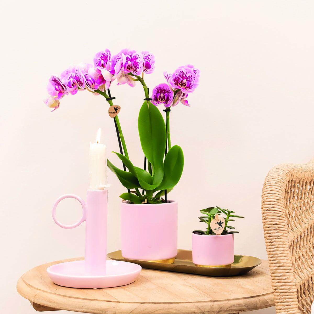 Set met roze Phalaenopsis Orchidee en Hoya Kerrii in goudvoet keramieken sierpotten op houten tafel naast pink kaarsenhouder.