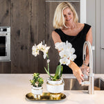 Vrouw met Kolibri Company set van witte orchidee en succulent op gouden dienblad in moderne keuken.