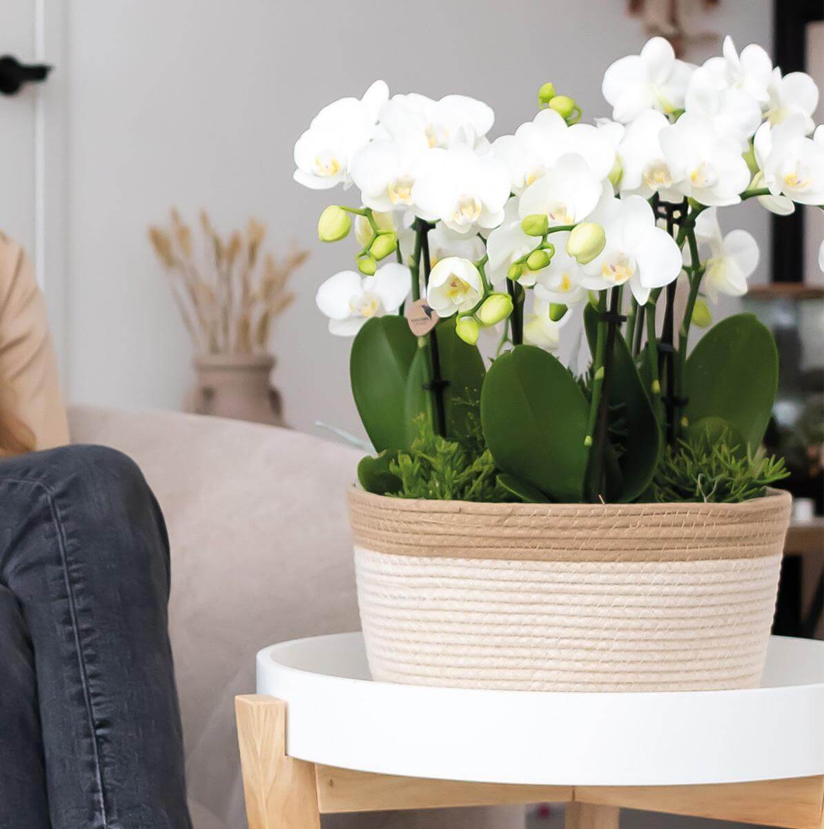 Witte orchideeën in een witte rieten mand met een waterreservoir op een witte tafel in een gezellige woonkamer.