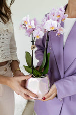 Roze Phalaenopsis orchidee in sierpot, vastgehouden door twee vrouwen, prachtige bloeiende kamerplant, voegt kleur toe aan elk interieur